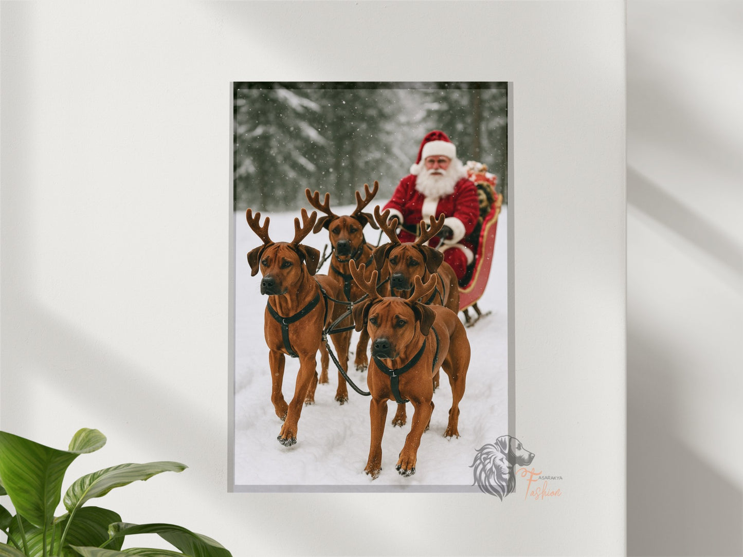 Rhodesian Ridgeback Photodruck Schlitten E