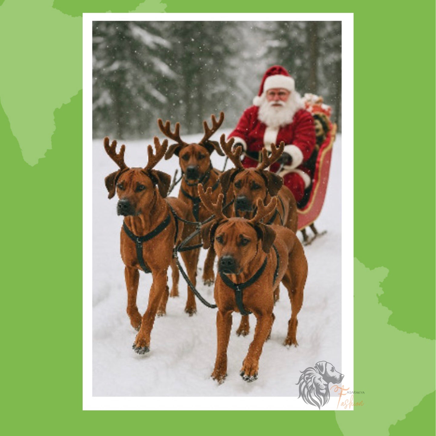 Rhodesian Ridgeback Photodruck Schlitten E