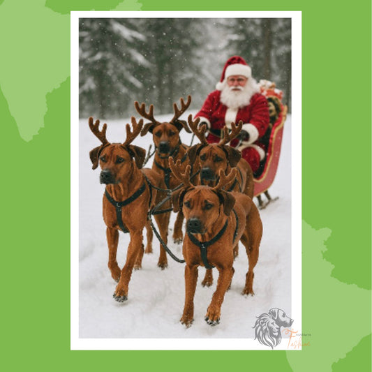 Rhodesian Ridgeback Photodruck Schlitten E