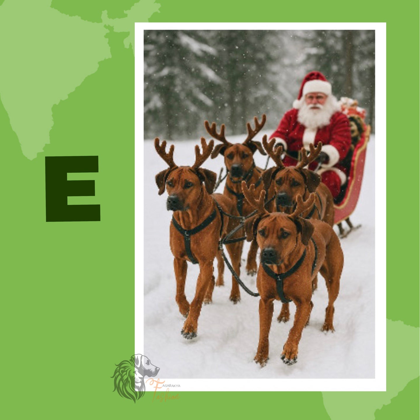 Rhodesian Ridgeback Photodruck Schlitten E