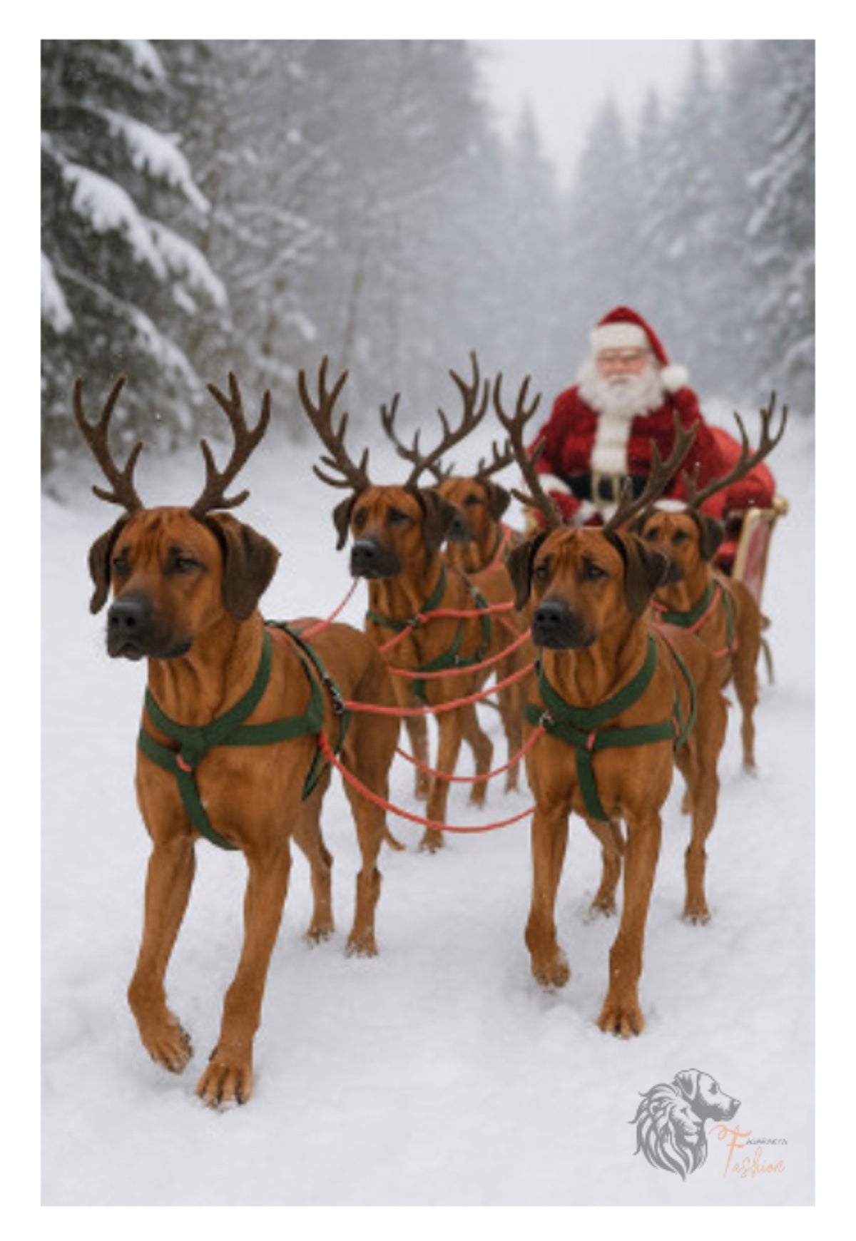 Rhodesian Ridgeback Photodruck Schlitten F