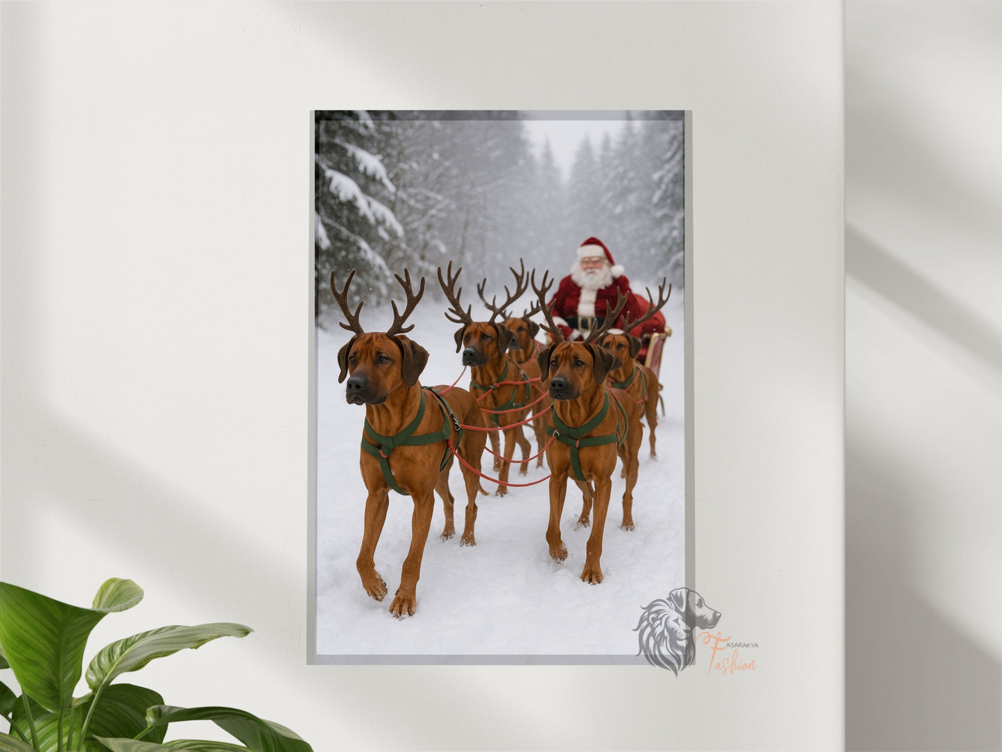 Rhodesian Ridgeback Photodruck Schlitten F