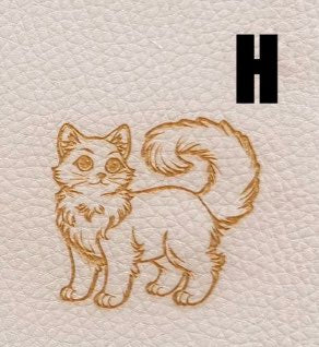 H Langhaar Katze