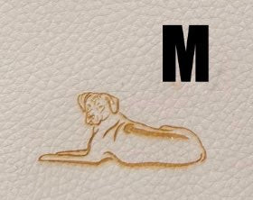 M RR Relaxt