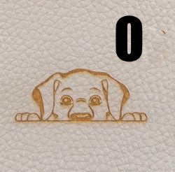 O Hundblick
