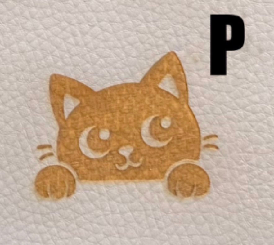 P Katzenblick