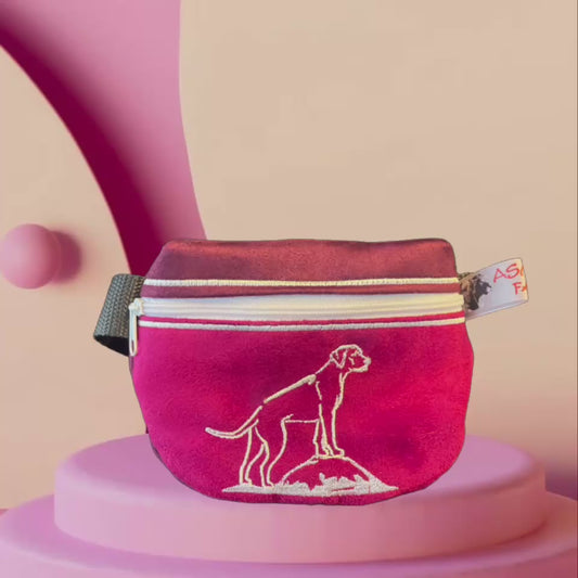 Ausstellungs Taschen, Leckerchentasche, Gassi bag RR Berg 04,05