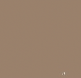 VELOUR SOLID COLOR RR MOUNTAIN